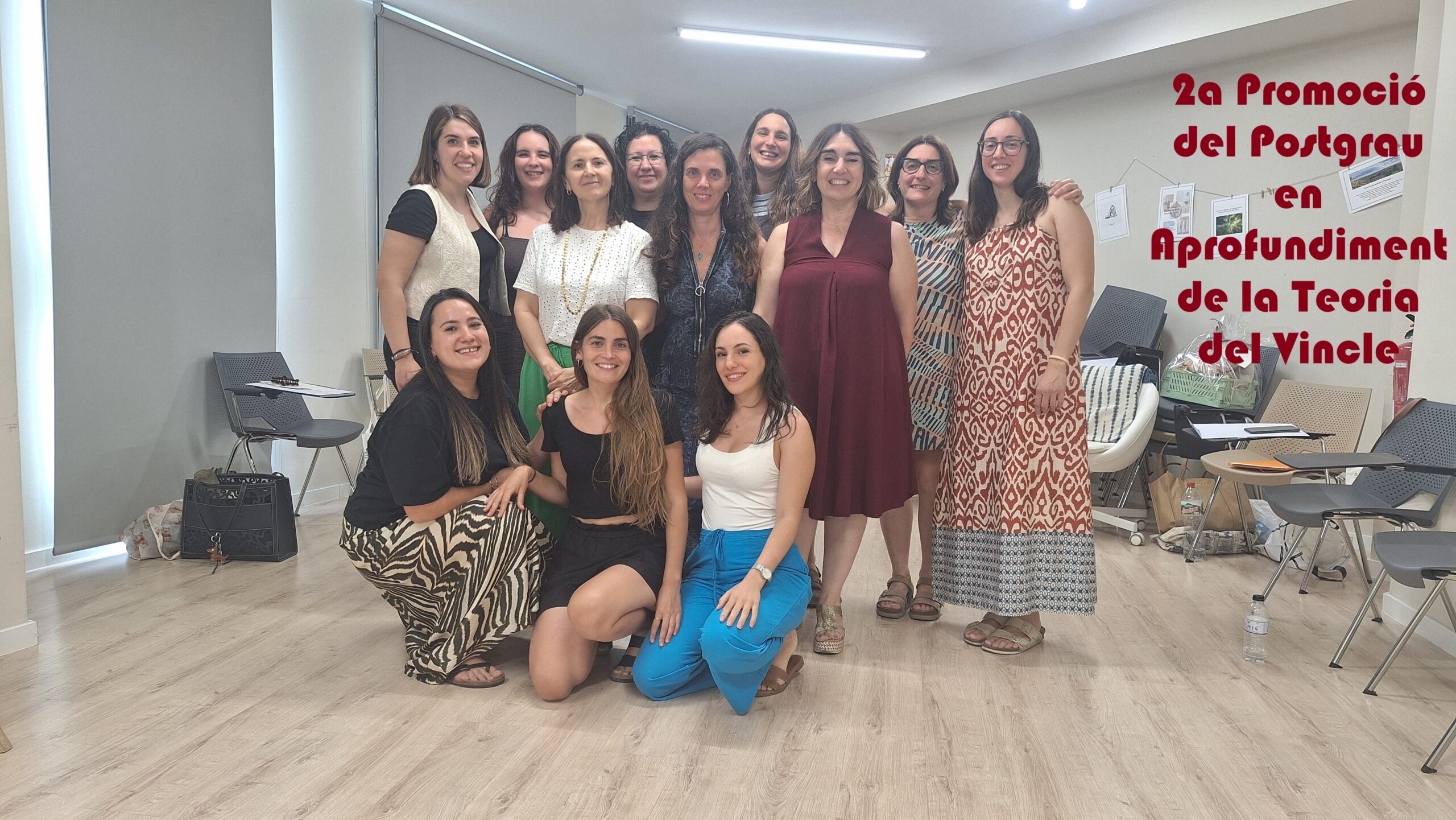 Postgrau A2-Promoció